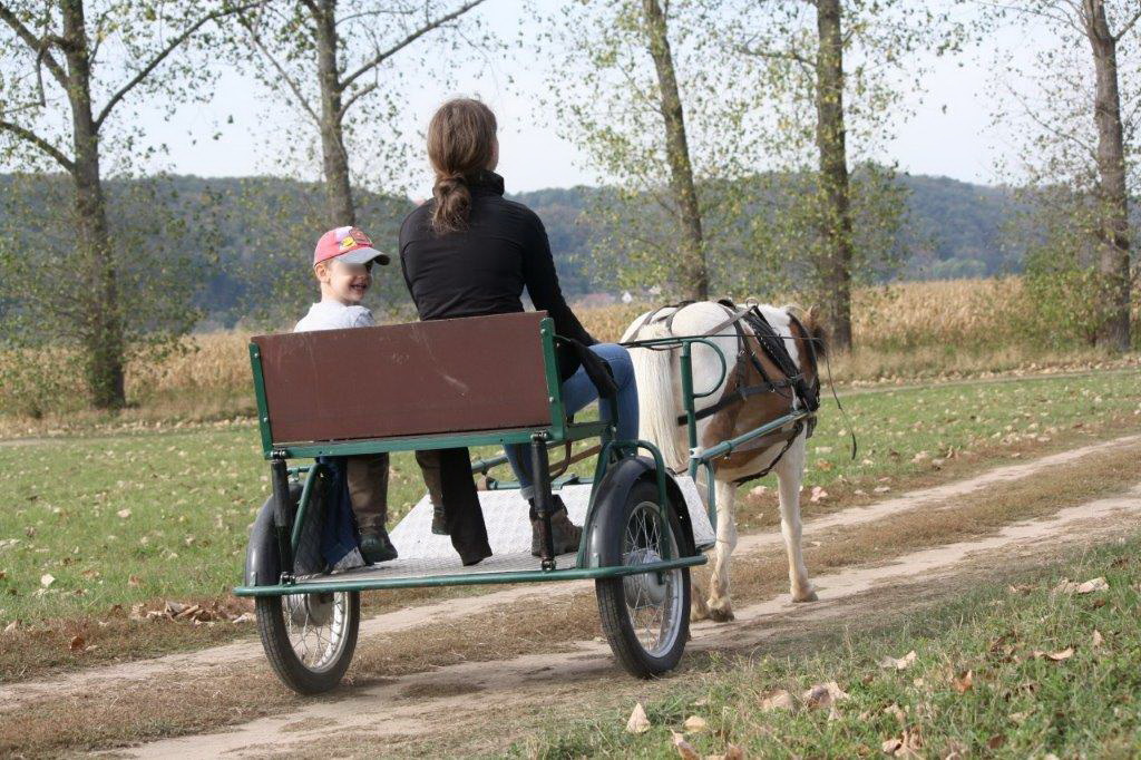 Reittherapie Sachsen-Anhalt